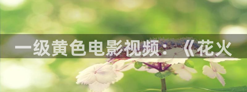 新闻图片